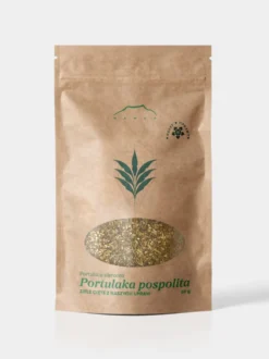 Portulaka pospolita