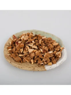 Reishi grzyb