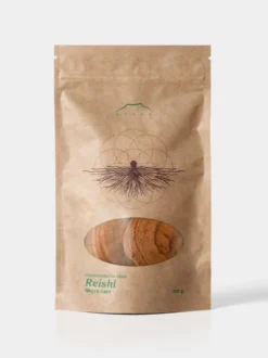 Reishi grzyb