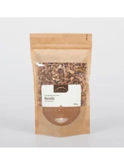Reishi grzyb