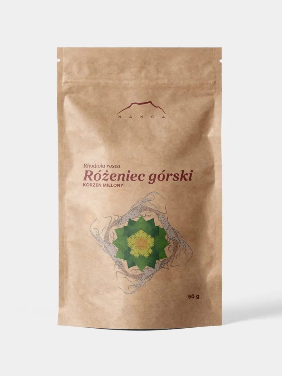 Różeniec górski korzeń