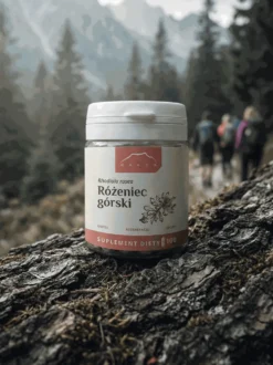Różeniec górski (rhodiola rosea) kapsułki 100 szt x 165 mg