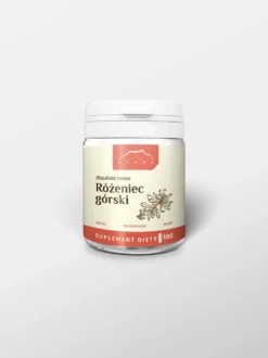 Różeniec górski (rhodiola rosea) kapsułki 100 szt x 165 mg