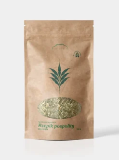 Rzepik pospolity