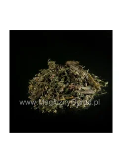 Sadziec purpurowy ziele