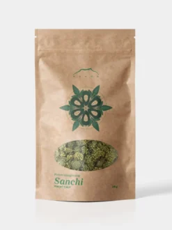 Sanchi kwiat