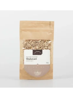 Shatavari korzeń