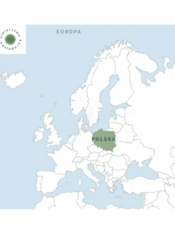 Skrzyp polny ziele