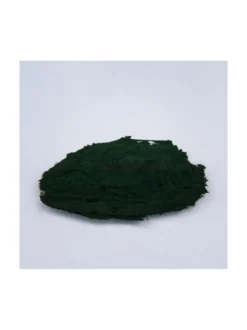 Spirulina w proszku Bio