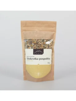 Stokrotka pospolita kwiat