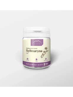Sylimaryna 100 kapsułek x 300 mg