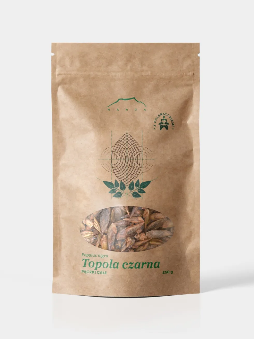 Topola czarna pączki