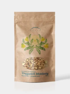 Traganek korzeń
