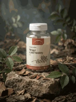 Wiąz czerwony 100 kapsułek x 400 mg