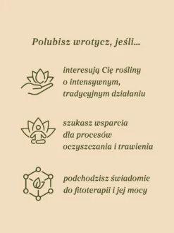 Wrotycz kwiat dziko rosnący