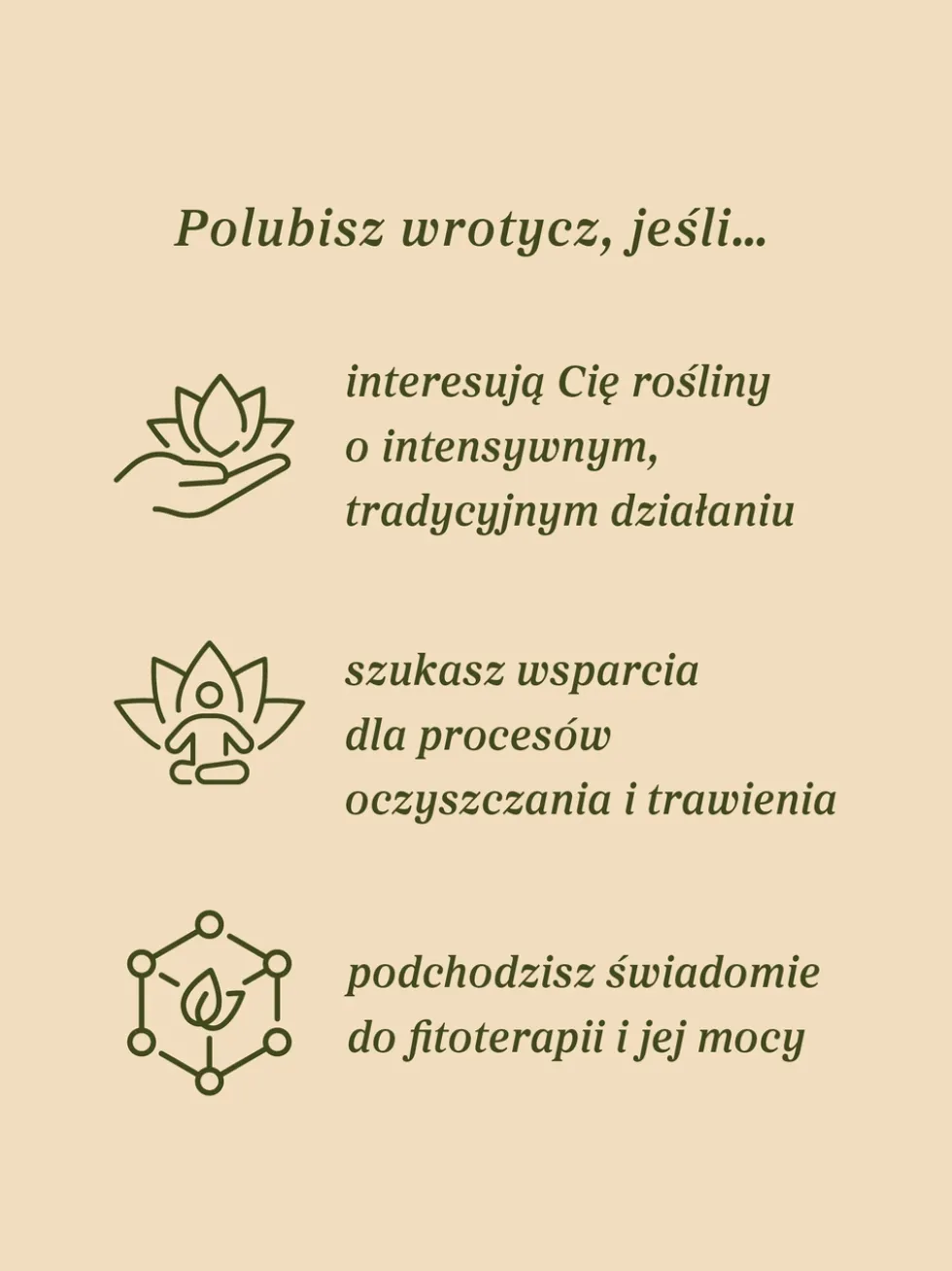 Wrotycz kwiat dziko rosnący