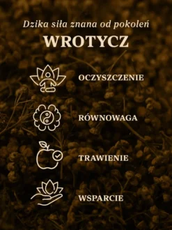 Wrotycz ziele