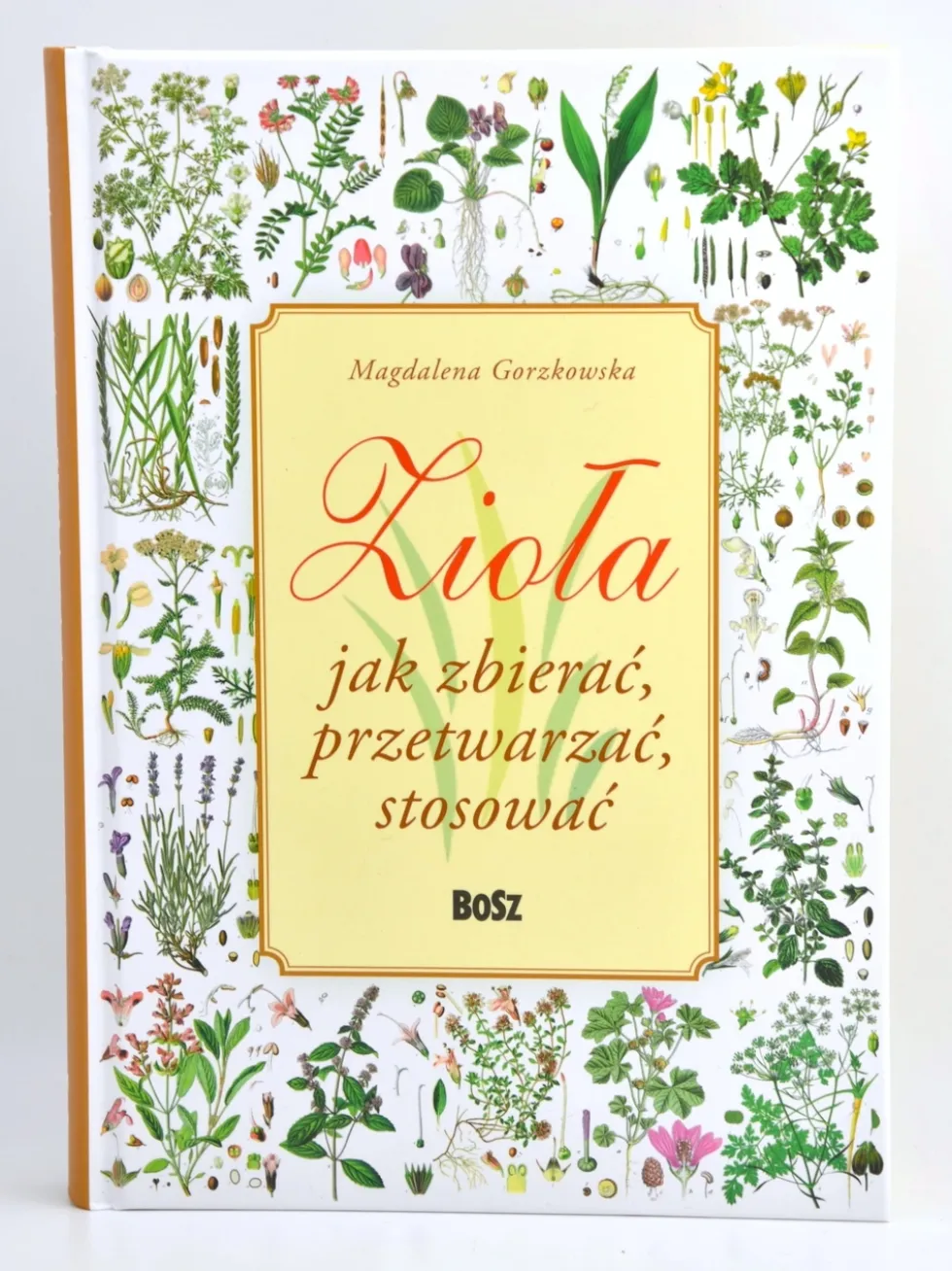 Zioła jak zbierać, przetwarzać, stosować - Magdalena Gorzkowska