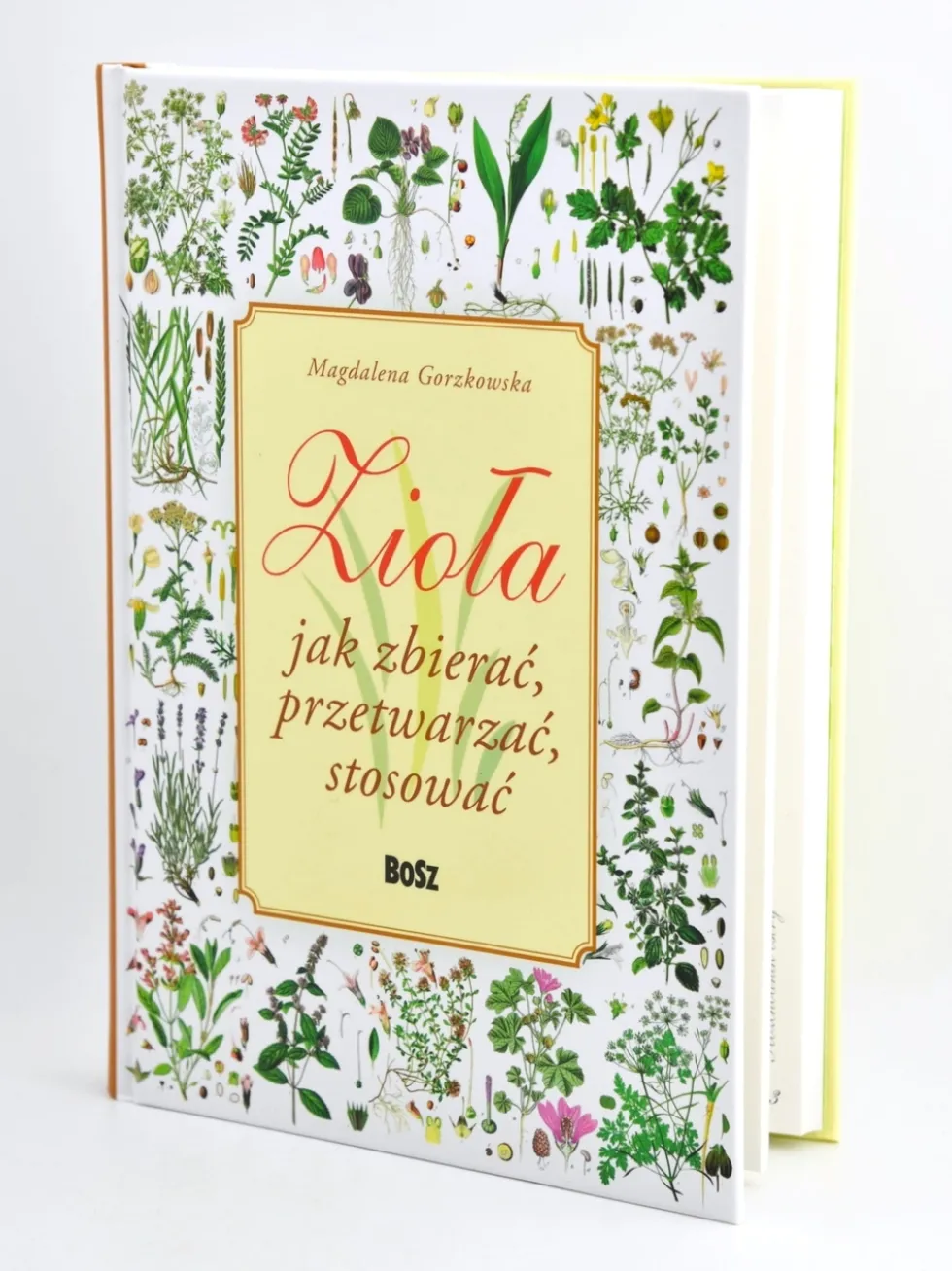 Zioła jak zbierać, przetwarzać, stosować - Magdalena Gorzkowska
