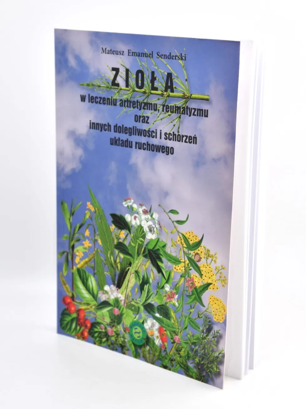 Zioła w leczeniu artretyzmu, reumatyzmu oraz innych dolegliwości i schorzeń układu ruchowego